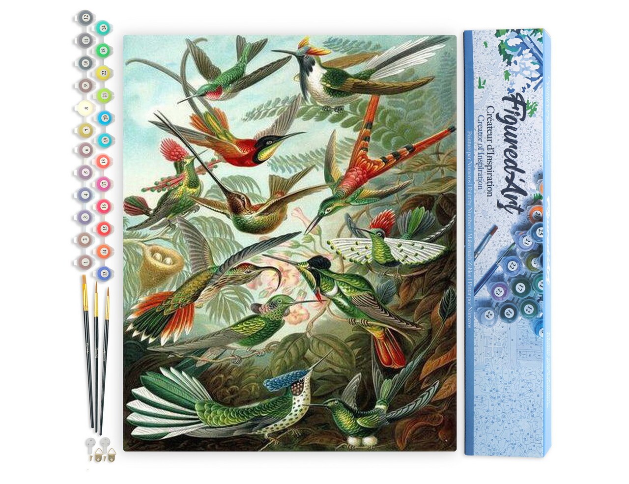 Figured'Art Paint by Numbers for Adults All the Birds 16"x20" - Craft Art Painting DIY Kit Rolled Canvas without frame